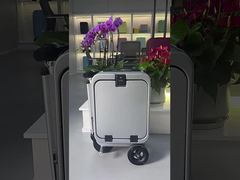 1244 Multifunctional electric ride-on suitcase