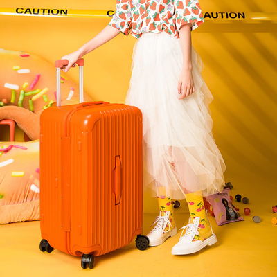 494984Thick and oversized luggage compartment